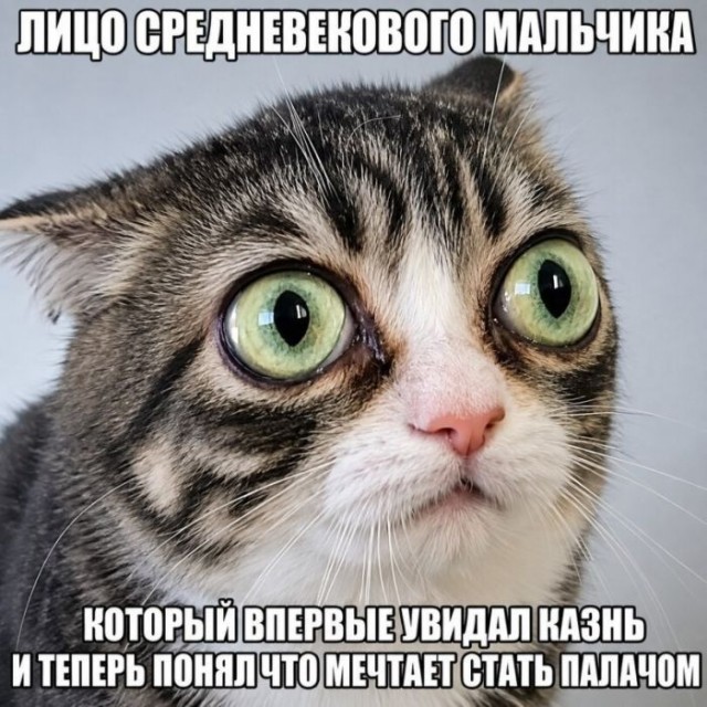 картинка 0eab1d4ac3 21306074