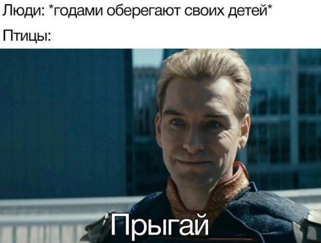картинка 11474198f7 21306063