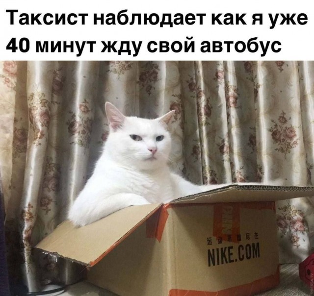 картинка 124a0979b6 21275621