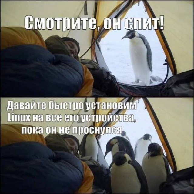 картинка 12c94904a0 21320145