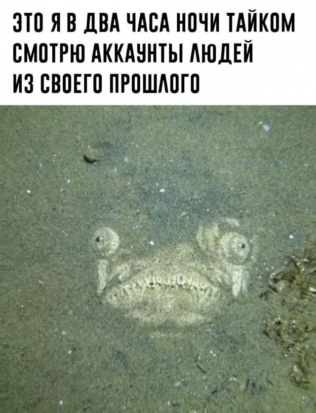 картинка 131e671bd7 21302806
