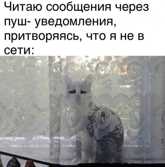 картинка 14ce0539c4 21259994
