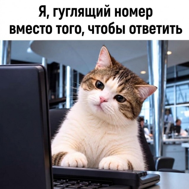 картинка 16538c3964 21305621