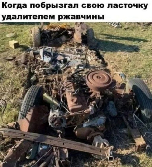 картинка 1c07fd3fde srochno protivojadie ot osennej handry 2