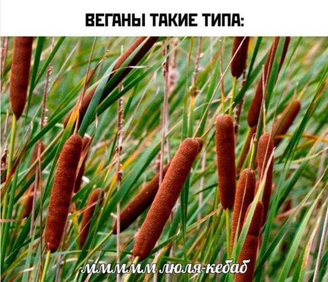 картинка 1d5c8bd9af pjatnica trebuet jumora 1