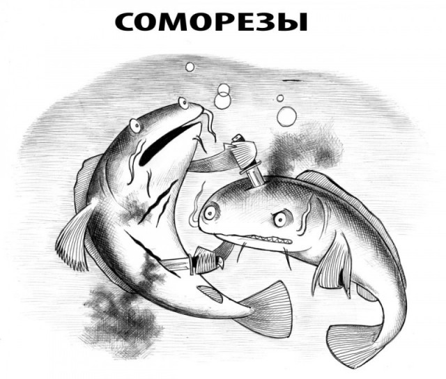 картинка 1e60de49a1 21302748