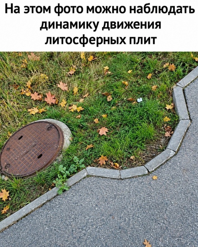 картинка 21e17f2265 21286235