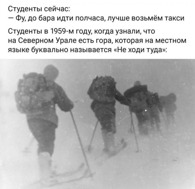 картинка 22ee0ea579 21267458