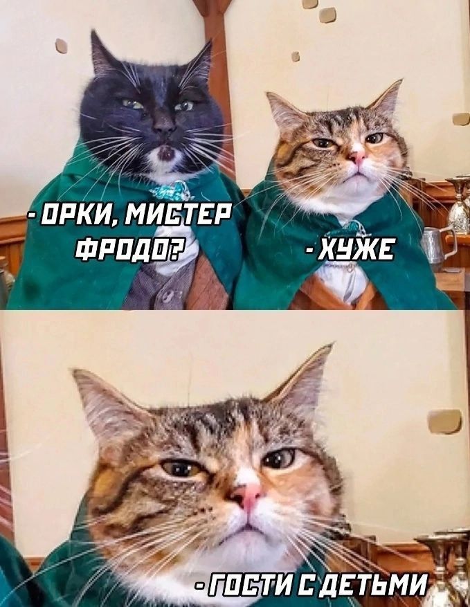 картинка 24d1a54b15 pereryv na porciju memov i luchshih kommentov iz seti 13