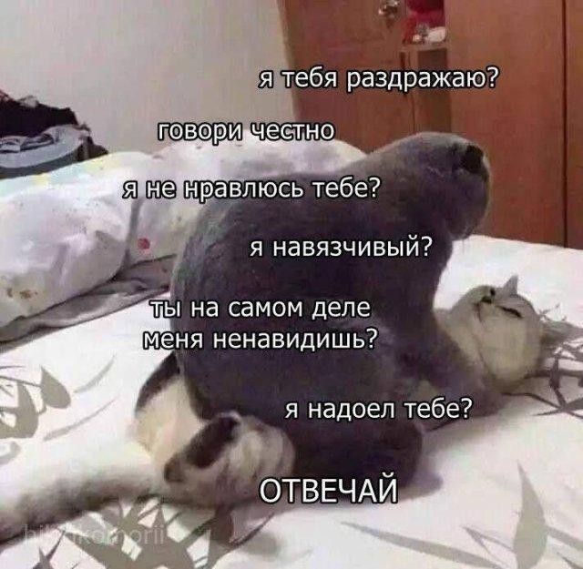 картинка 2563d900a5 preduprezhdaem jetot kontent ne dlja vseh 22