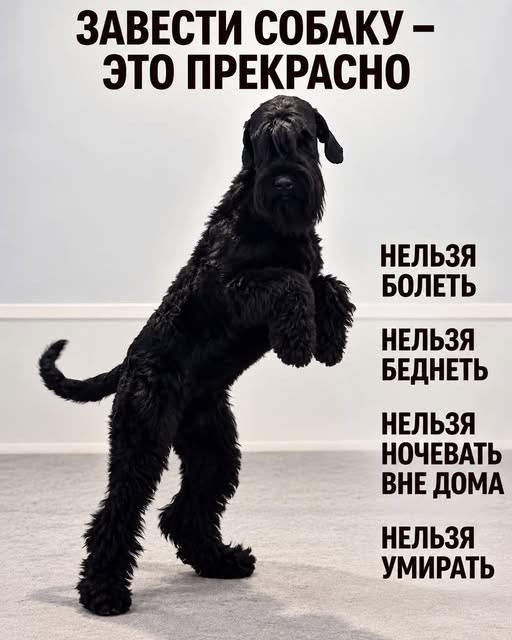 картинка 27a938b6b2 21299561