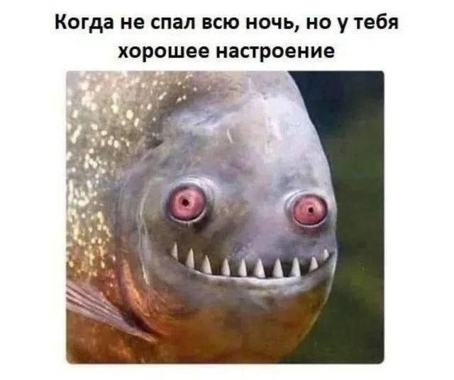 картинка 2c552c476d 21273564
