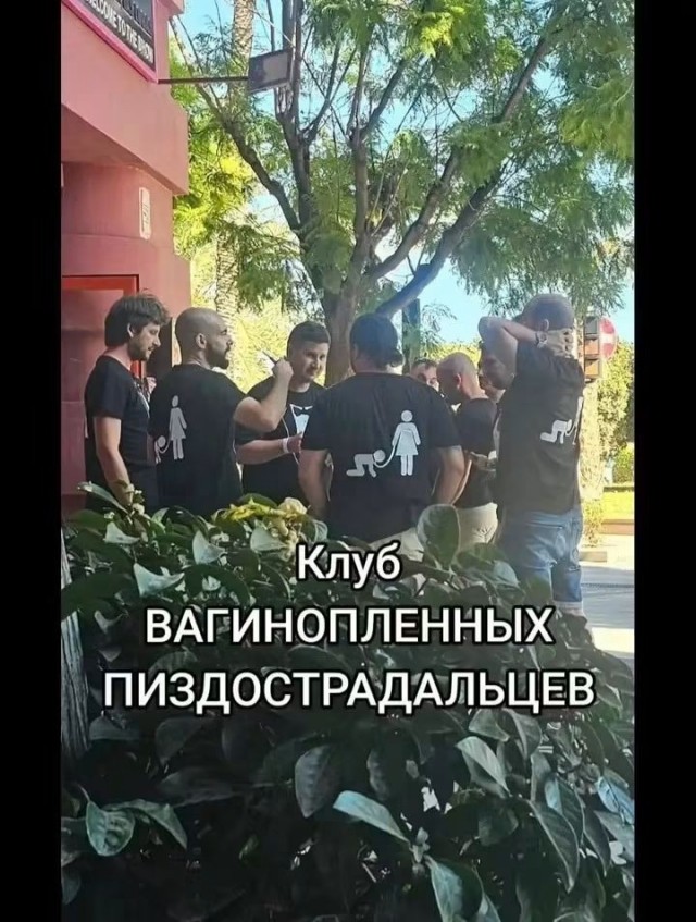 картинка 2ec70a3546 21305814