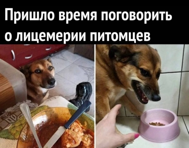 картинка 2f95ddf05b 21291056