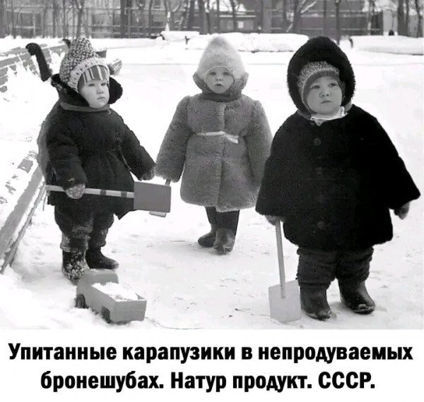 картинка 3309e9f2b0 21346262