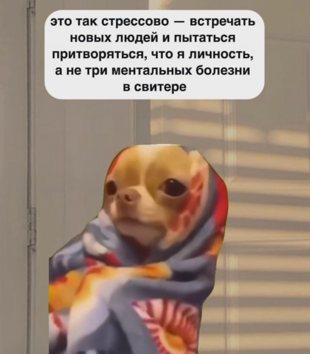 картинка 33804353f2 21297416