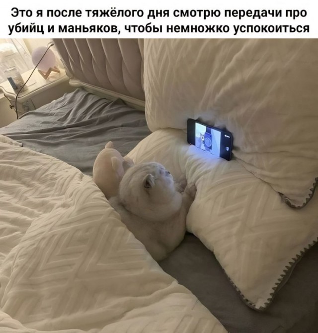 картинка 33c2357249 21256892
