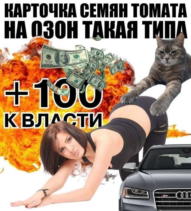 картинка 37cbe5074b 21298023