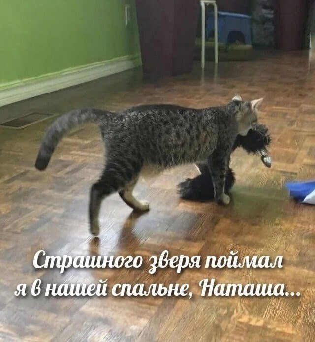 картинка 3803f79ee0 nu chto zavarite sebe chego krepkogo i prigotovtes uletat v ad 25