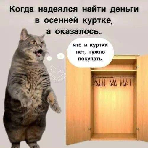 картинка 3969e89b8d sreda stala jarche svezhaja porcija memov i foto chtoby dotjanut do vyhodnyh s ulybkoj 16
