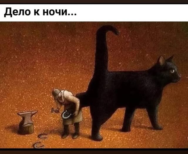 картинка 3de5e14872 21287436