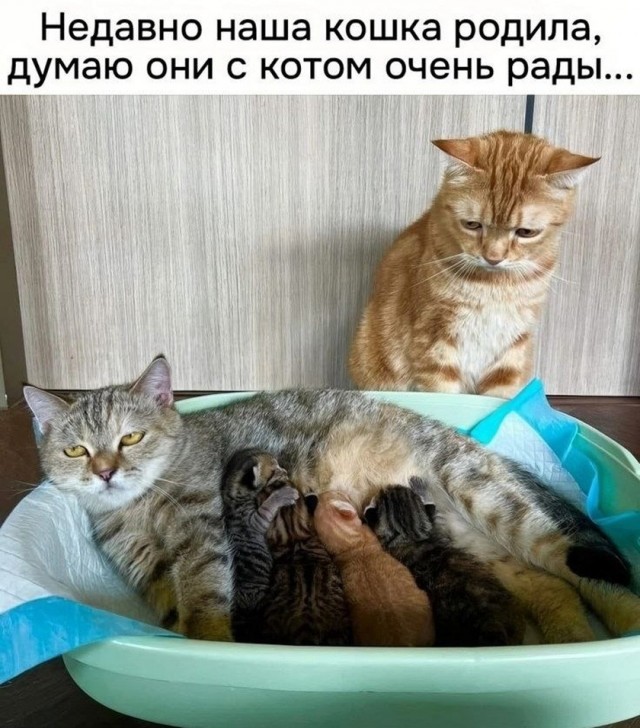 картинка 4148d4eeeb 21286194