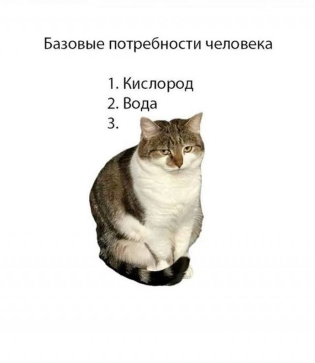 картинка 428cbcf988 21259937