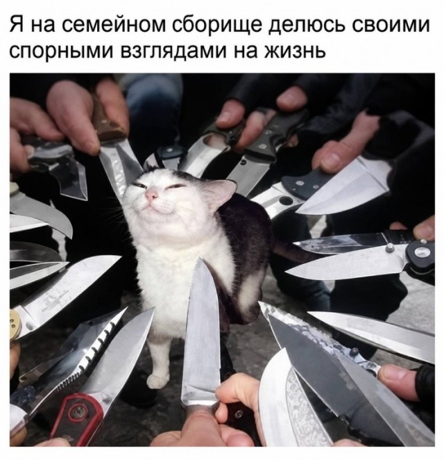 картинка 4383ef38dc 21256887