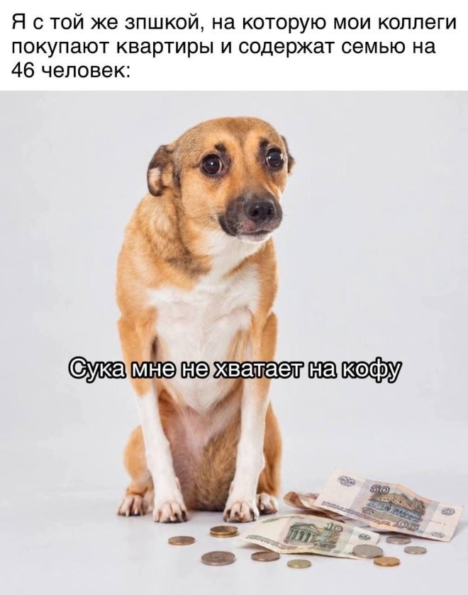 У нас для вас кое-что особенное! ✨ Новый сборник мемов, который точно поднимет настроение! У нас для вас кое-что особенное! ✨ Новый сборник мемов, который точно поднимет настроение! шутки, чтобы, офису, коллеге, кружку, после, третьей, вообще, захочется, обнять, соседа, откопали, простить, поудобнее, расслабьте, сейчас, слишком, серьёзное, ловите, заряд