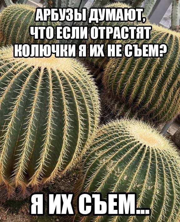 картинка 46a4f516a5 sreda stala jarche svezhaja porcija memov i foto chtoby dotjanut do vyhodnyh s ulybkoj 9