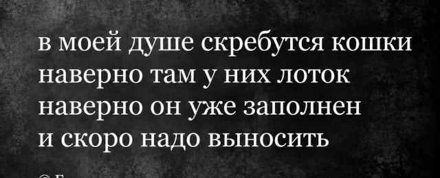 картинка 4a00e3e290 21300674