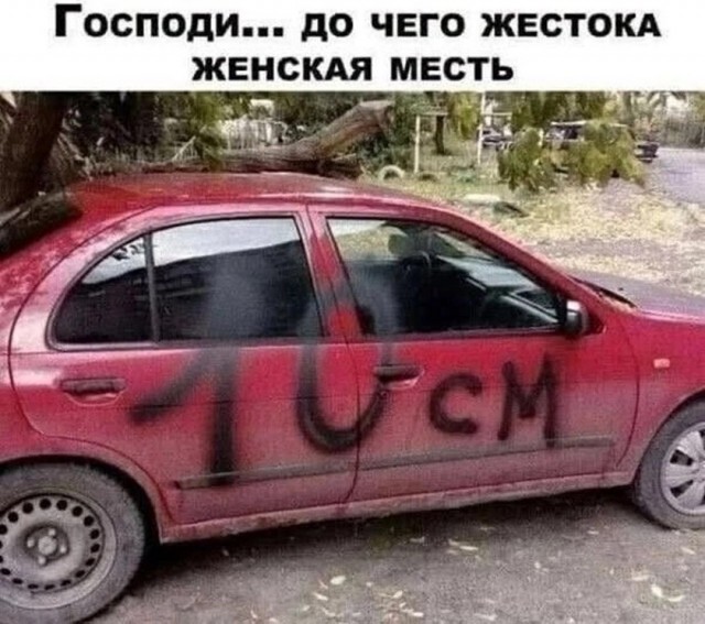 картинка 4acce76856 21286241