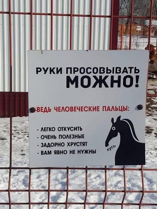 картинка 4aef5470c2 21287410