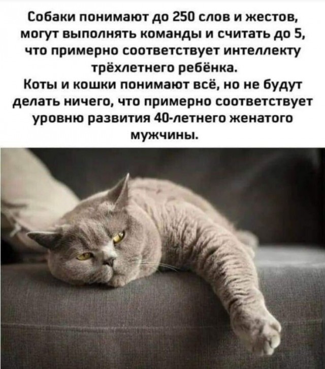картинка 4c027427b4 21275923
