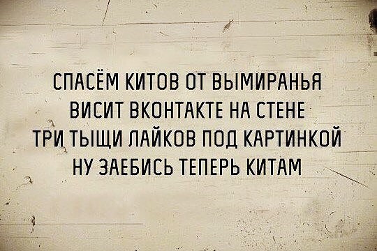 картинка 4d3129da23 21259925