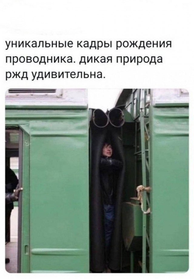 картинка 4d464bd374 21320416