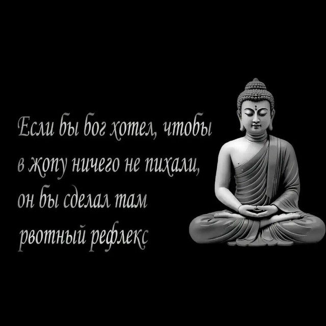 картинка 505ede8881 21256370