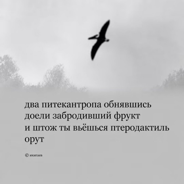картинка 5358d57670 21305794