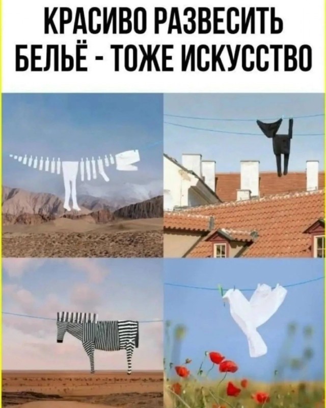 картинка 55c740d03b 21290257