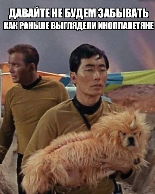 картинка 583828dd7a 21320952