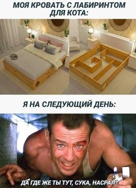 картинка 5a0497629f 21320976