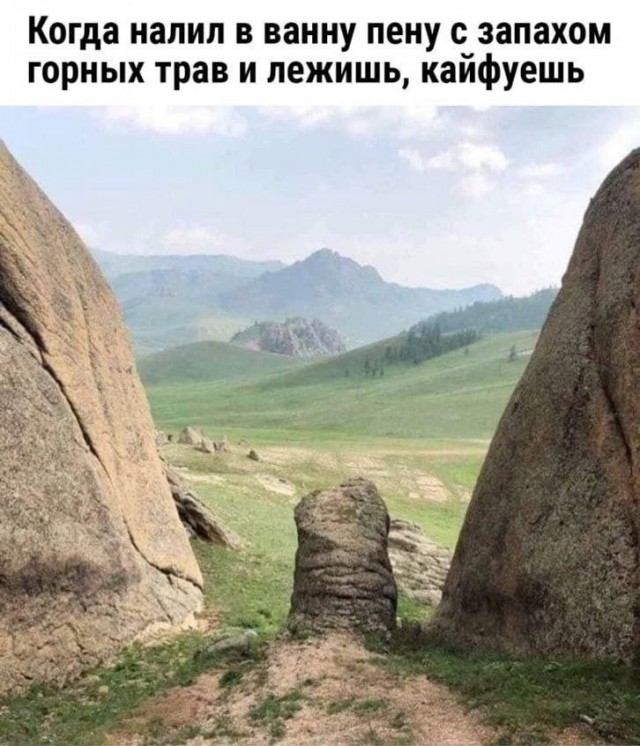 картинка 5a14fb82df 21291059