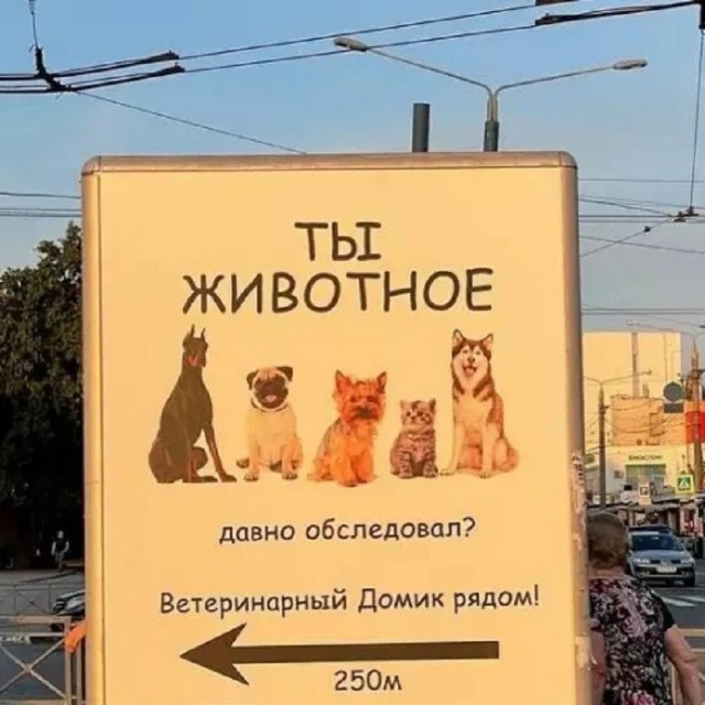 картинка 5c064477c8 21275607
