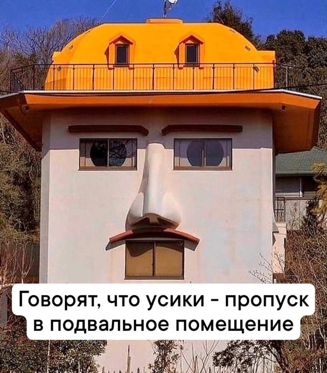 У нас для вас кое-что особенное! ✨ Новый сборник мемов, который точно поднимет настроение! У нас для вас кое-что особенное! ✨ Новый сборник мемов, который точно поднимет настроение! шутки, чтобы, офису, коллеге, кружку, после, третьей, вообще, захочется, обнять, соседа, откопали, простить, поудобнее, расслабьте, сейчас, слишком, серьёзное, ловите, заряд