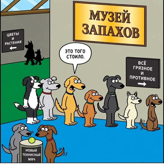 картинка 5eb7dab3a8 1791694059