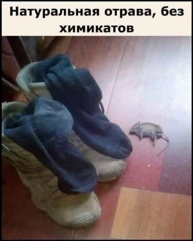 картинка 60f404190c 21270217