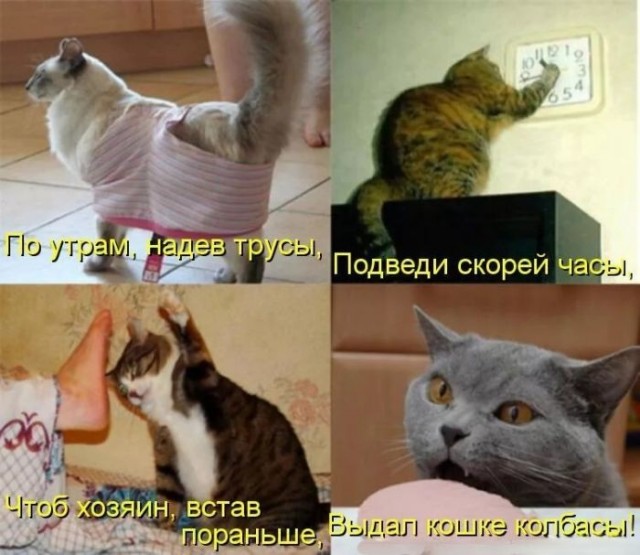 картинка 61224b9d89 21328255