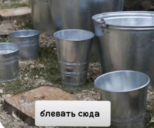 картинка 61fd46f88b 21299785