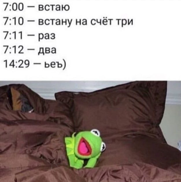 картинка 6255699d29 srochno protivojadie ot osennej handry 4