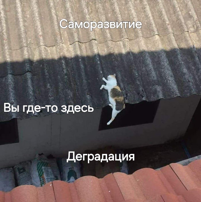 картинка 6275fc0394 srochno protivojadie ot osennej handry 11